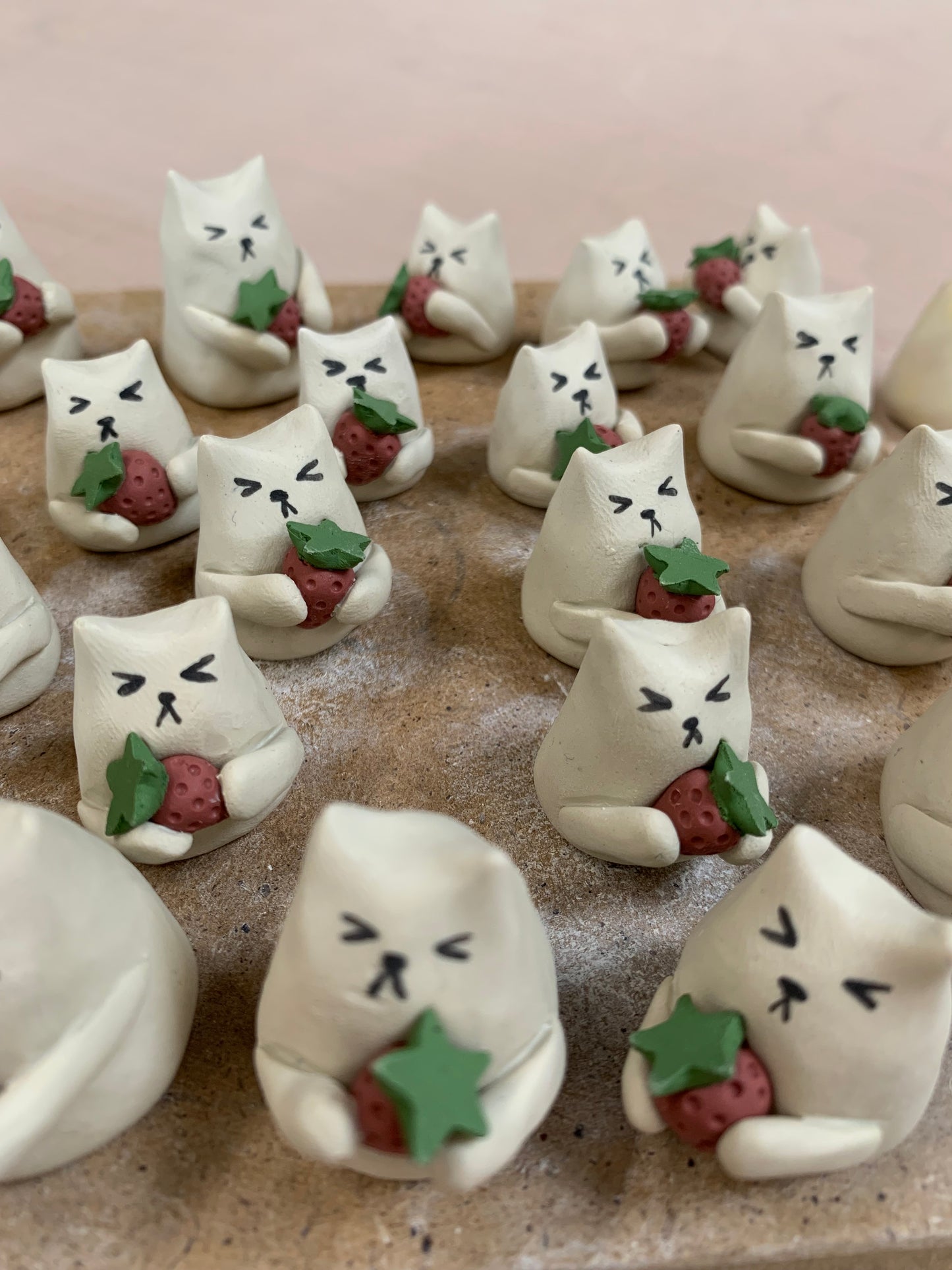 Summer 2025 ~ strawberry cat mini