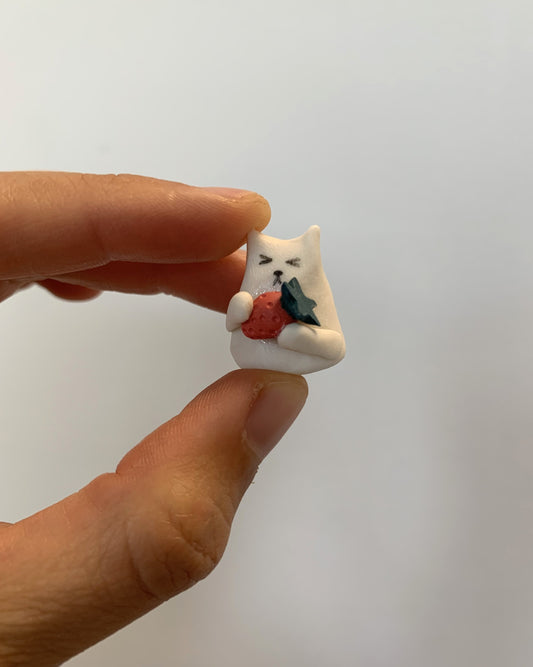 Summer 2025 ~ strawberry cat mini