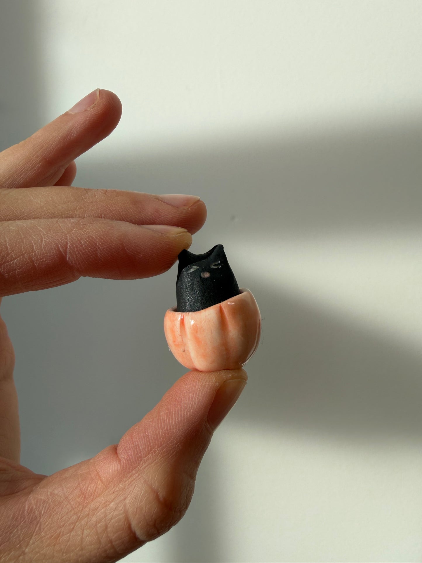 Autumn 2025 ~ spooky pumpkin kitty