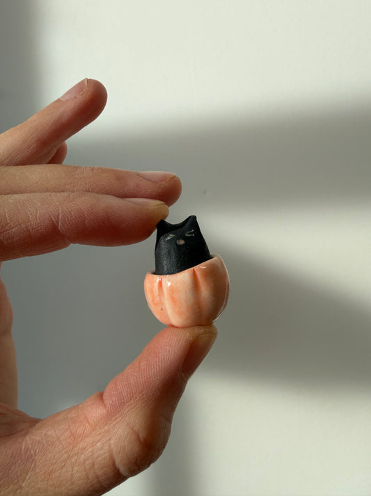 Autumn 2025 ~ spooky pumpkin kitty